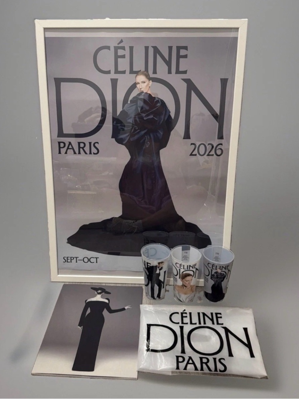 Celine Dion PARIS 2026 TOUR BOOK POSTER 3 Collection CUPS & Official Plastic Bag